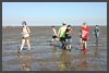 Ameland 2016