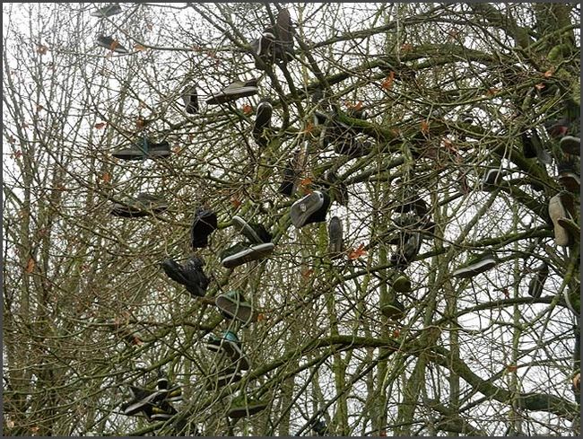 Bad Königshofen 2017/18