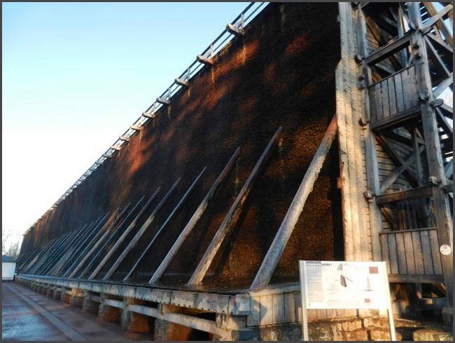 Bad Westernkotten 2021/22