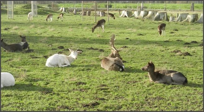 Bad Westernkotten 2021/22