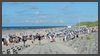Norderney 2016