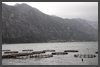2019 Montenegro