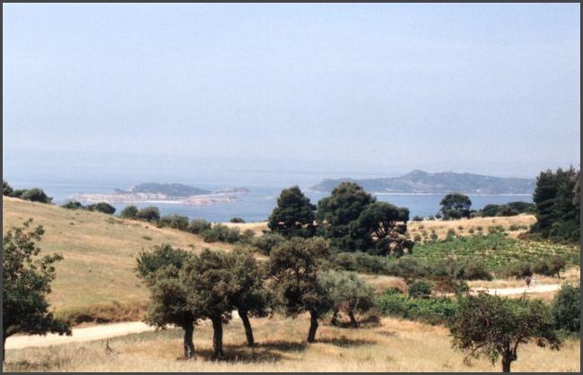 1995 Griechenland - Chalkidiki, Blick auf Insel Amouliani