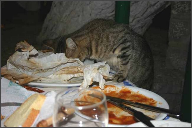 Griechenland 2011 - Insel Hydra