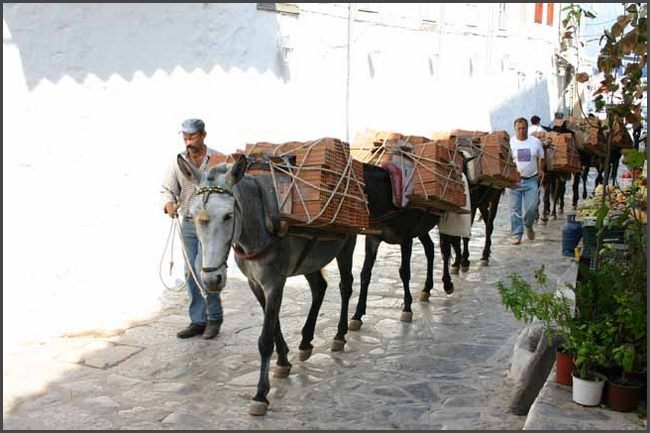 Griechenland 2011 - Insel Hydra