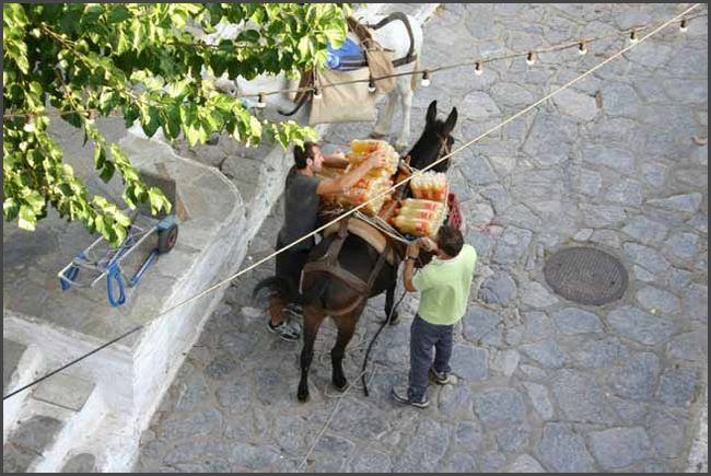 Griechenland 2011 - Insel Hydra