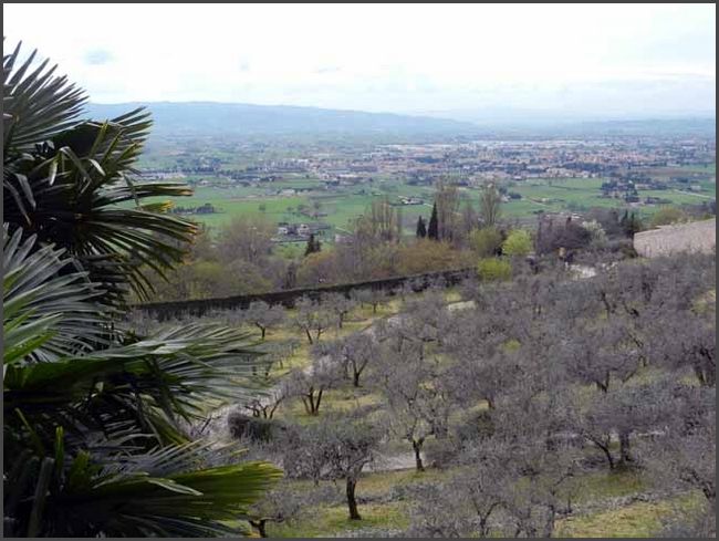 Italien 2014 - Assisi