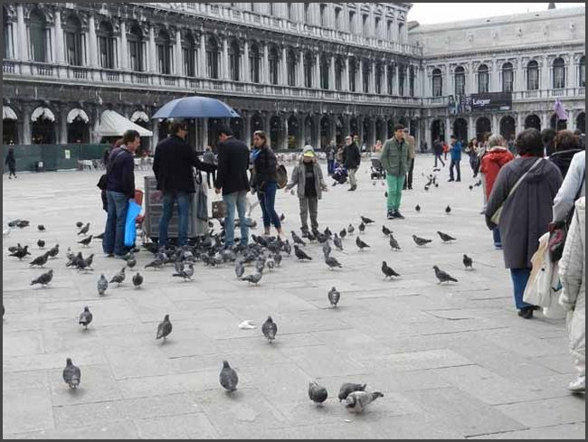 Italien 2014 - Venedig