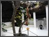 Fundation Cesar Manrique
