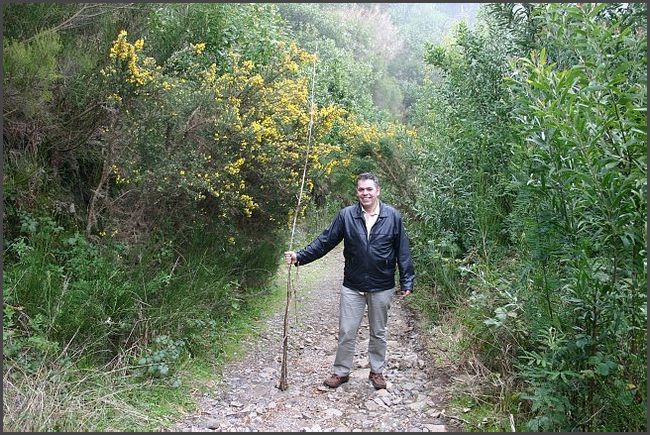 Madeira 2006 - Wanderinsel