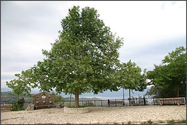 2018 Peloponnes - Toumba