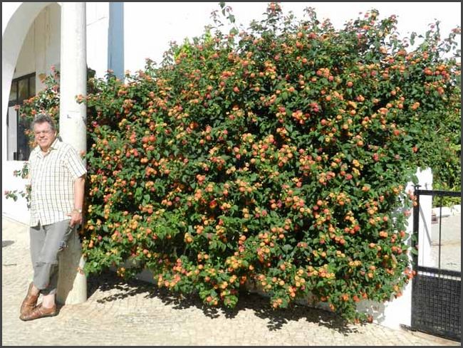 Portugal 2012 - Algarve Lagos