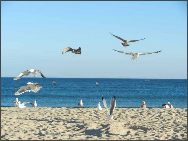 Portugal 2012 - Algarve Lagos