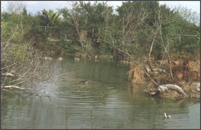 Florida - Everglades