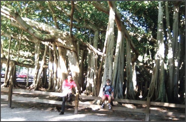 Florida - Edison Garten, Fort Meyers