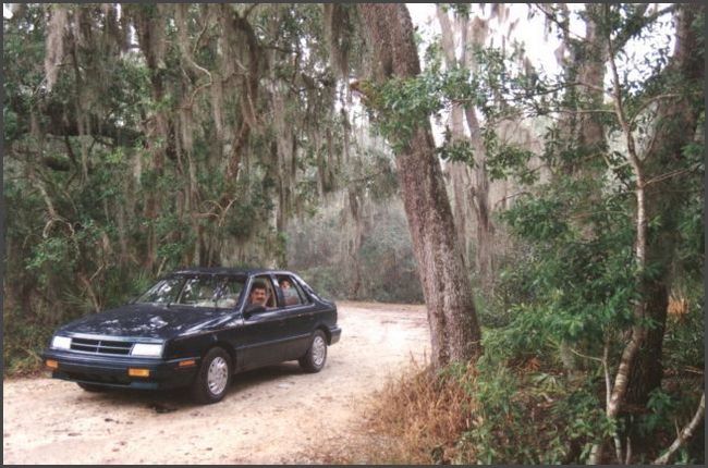 Florida - Ocala National Forest