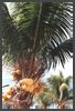 Florida