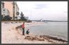 Florida - Clearwater Beach