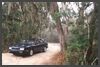 Florida - Ocala National Forest