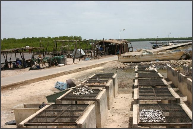 Gambia 2007 - Fischerdorf im Senegal