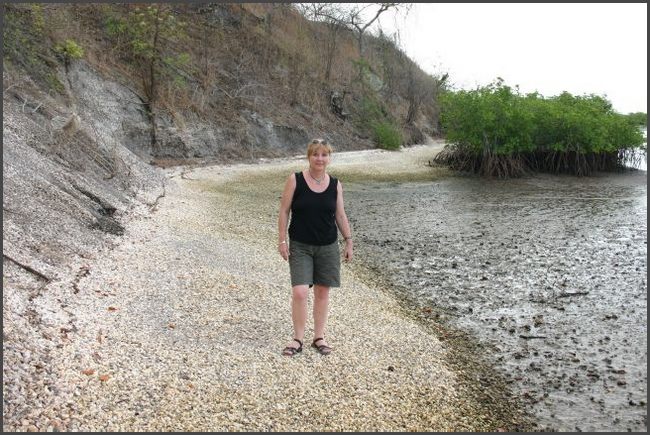 Gambia 2007 - Muschelinsel im Senegal