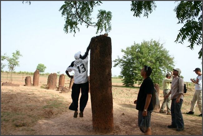 Gambia 2007 - Wassu Steinkreise