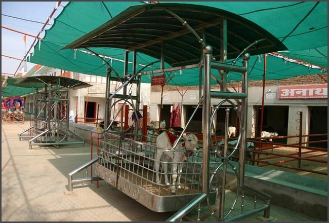 Indien - Rajasthan Tierkrankenhaus