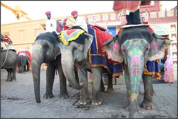 Indien - Rajasthan Jaipur