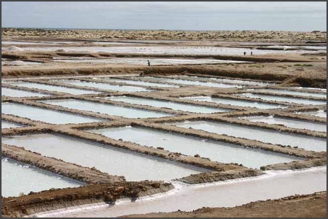 Kap Verde 2010 - Insel Sal - Salinen von Santa Maria