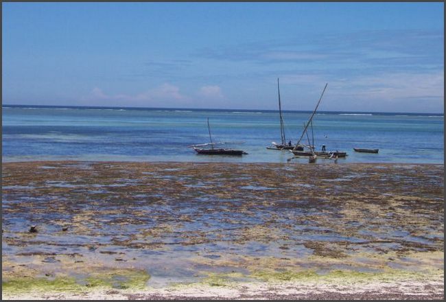 Kenia - Ebbe an der Ostküste
