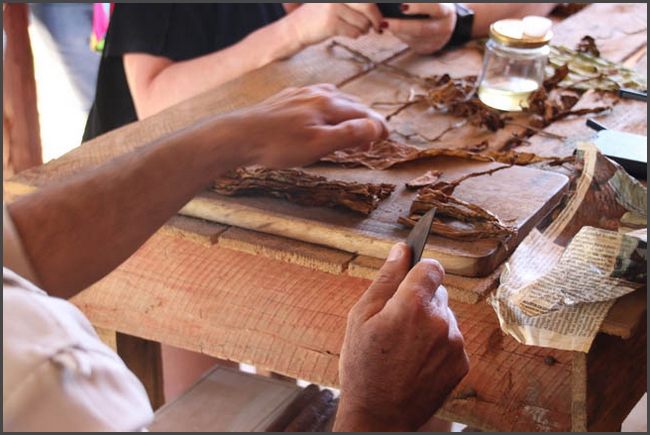 Vinales Tal - Zigarren