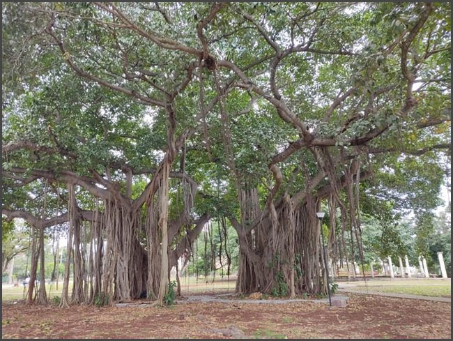 Havanna - alleine zu Fuß