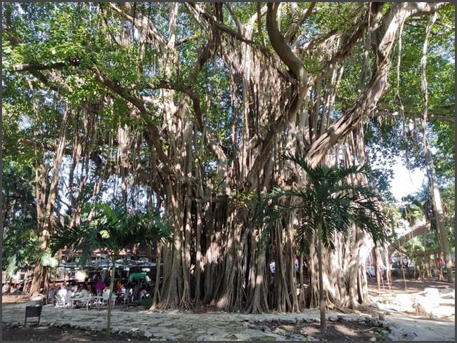 Havanna - alleine zu Fu&szlig;