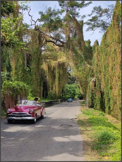 Havanna - alleine zu Fu&szlig;