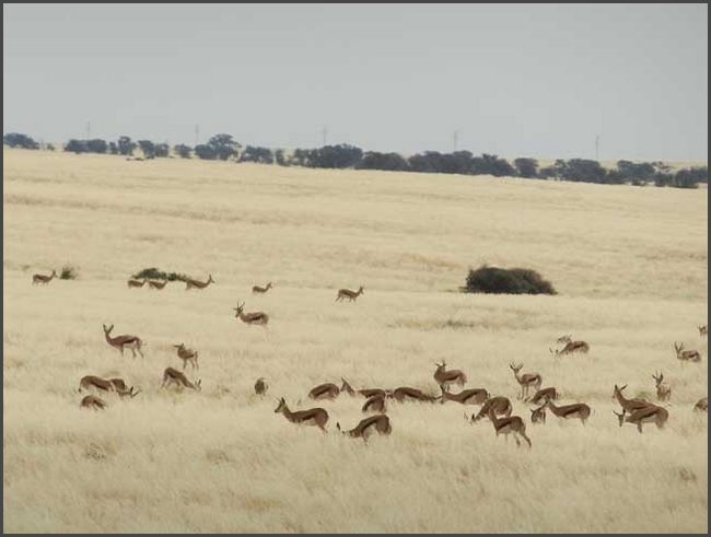 Namibia - Naukluft Park