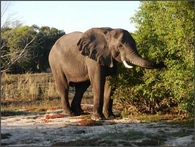 Sambia - Zambesi Flu&szlig;fahrt