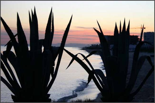 Tunesien 2010 - Hammamet