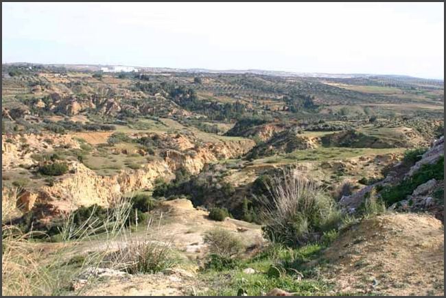 Tunesien 2010 - Hammamet