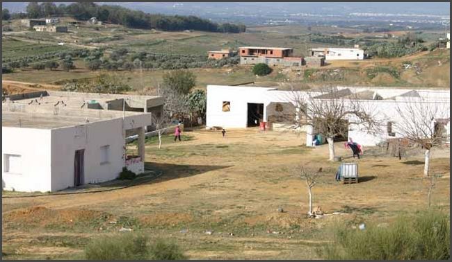 Tunesien 2010 - Hammamet