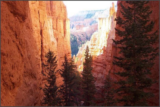Utah - im Bryce Canyon