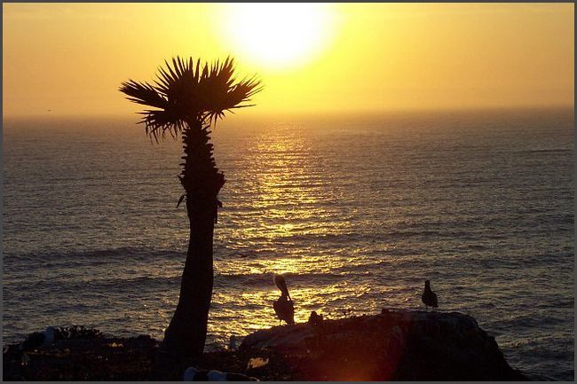 Kalifornien - Pismo Beach
