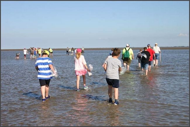 Ameland 2016
