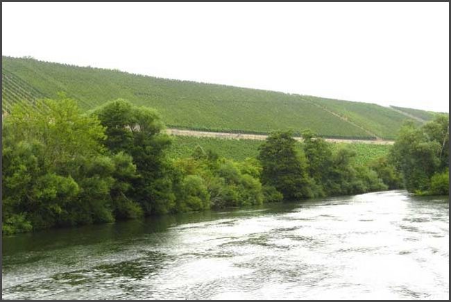 Bootsfahrt Mainschleife