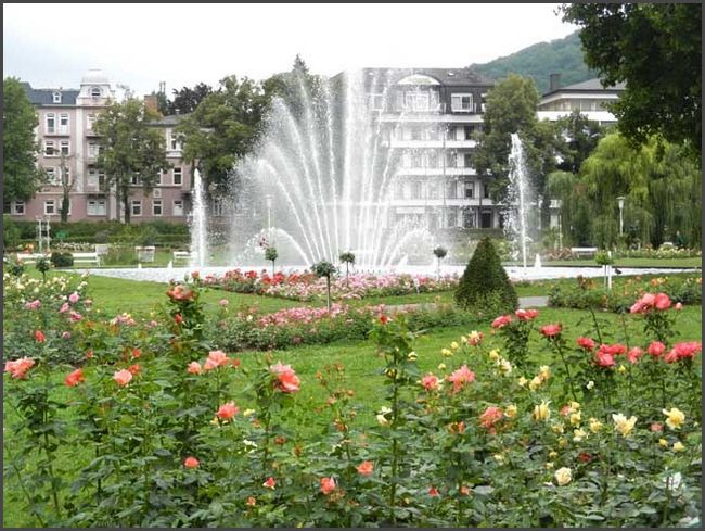 Bad Kissingen 2015 - Rosengarten