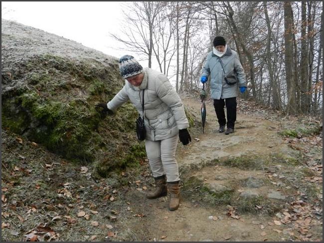 Bad Liebenstein, Burgruine