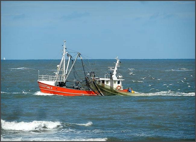 Norderney 2017