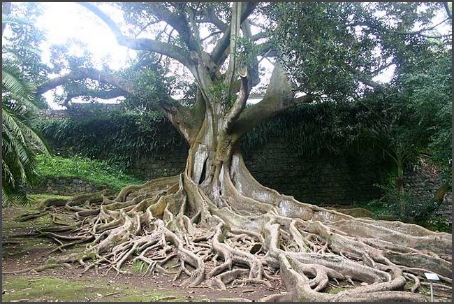 Azoren 2017 - Ponta Delgada