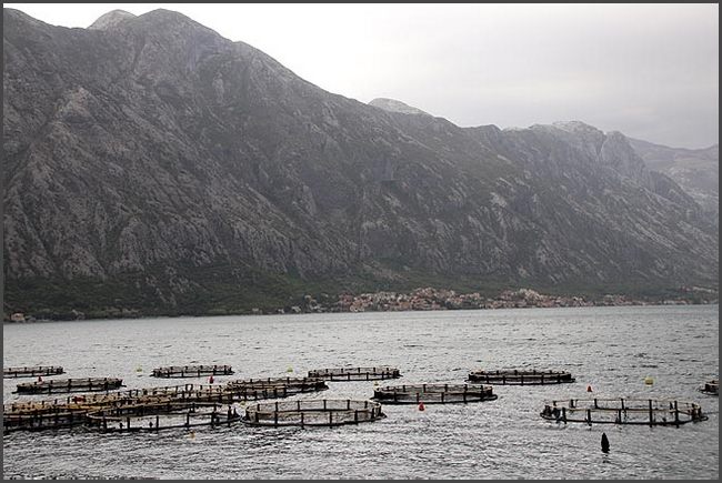 2019 Montenegro