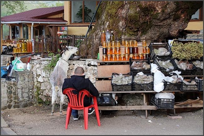 2019 Albanien