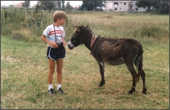 Jugoslawien